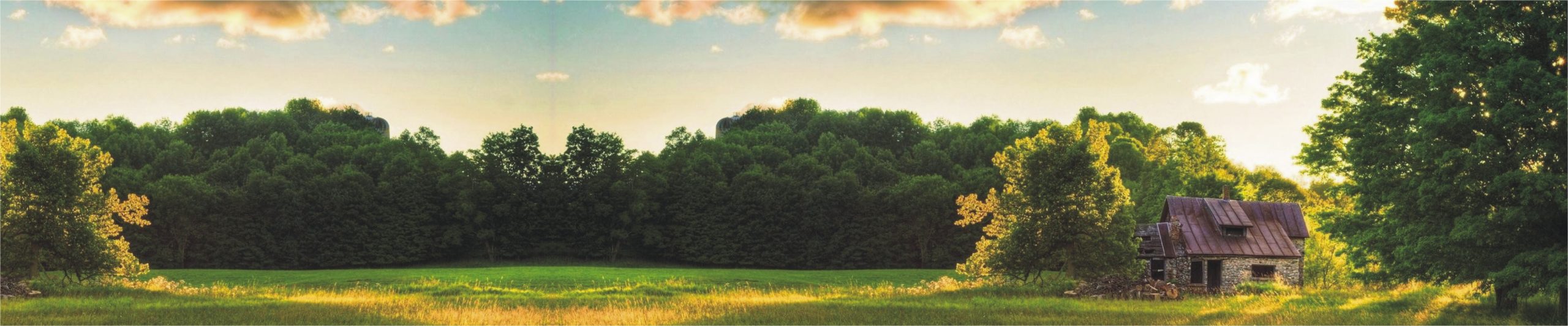 WL-Banner-4-scaled.jpg
